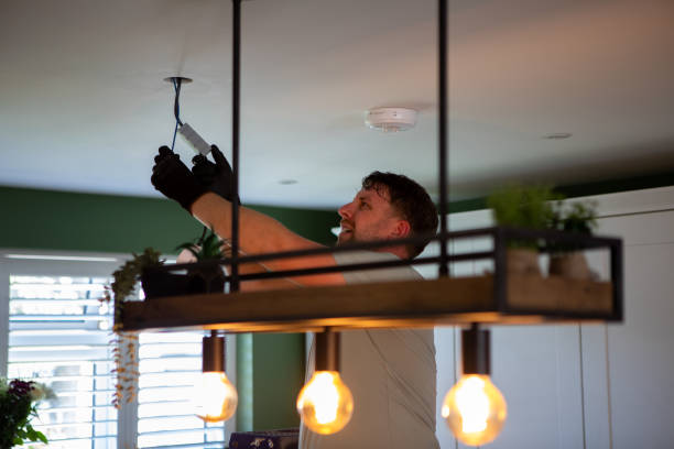 Best Electrical Repair Services  in Monroe, MI