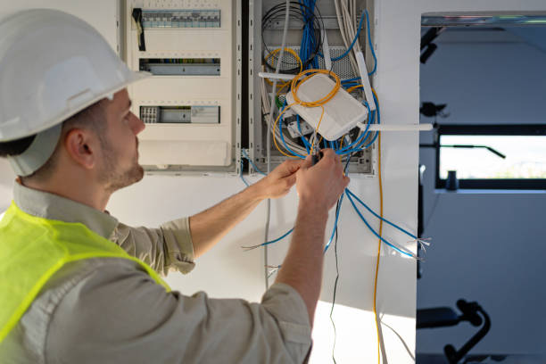 Best Electrical System Inspection  in Monroe, MI